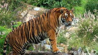 City Zoo