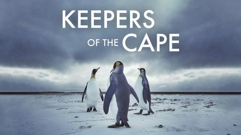 Keepers of the Cape