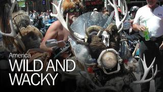 America Wild and Wacky