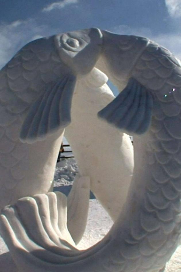 America Wild and Wacky