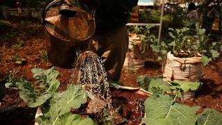 Crossroads of Change