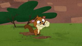 The Call of the Squirrel Dog The Call of the Squirrel Dog