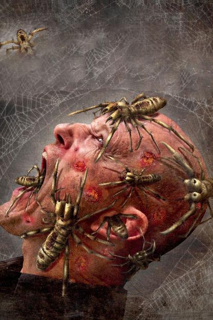 Camel Spiders