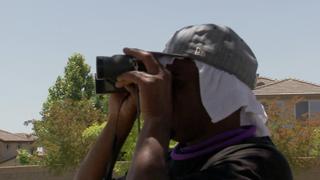 Pit Bulls and Parolees