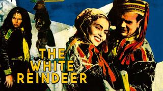 The White Reindeer