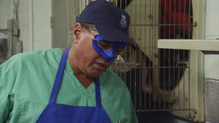 Dirty Jobs