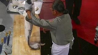 Morimoto vs. Bogle