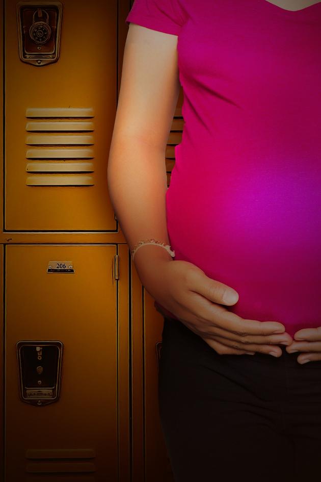 The Pregnancy Project