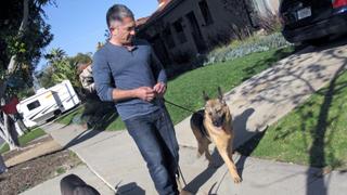 Year of the Dog Year of the Dog