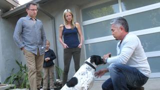 High Anxiety High Anxiety