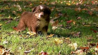Too Cute!