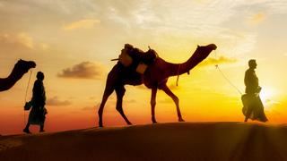 Nature's Gladiators Nature's Gladiators