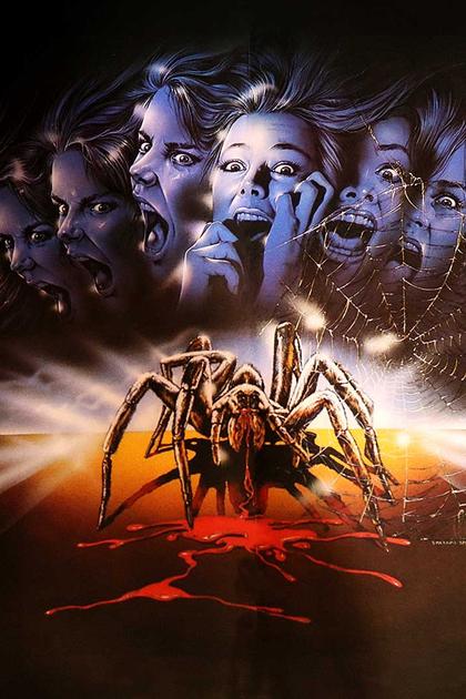 The Spider Labyrinth