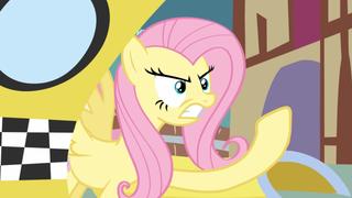 Putting Your Hoof Down Putting Your Hoof Down