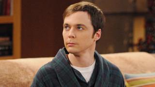 The Big Bang Theory