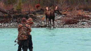 Dropped: Project Alaska