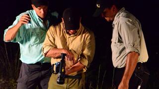 Cane Toad Madness Cane Toad Madness