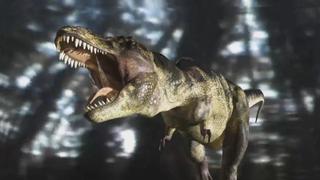 Aliens and Dinosaurs Aliens and Dinosaurs