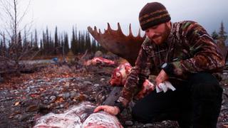 The Day After The Day After