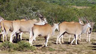 A Most Dangerous Rescue A Most Dangerous Rescue