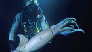 The Hunt for the Red Devil