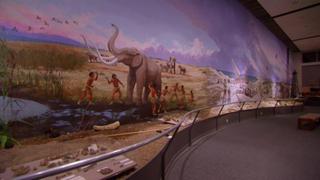 Mysteries at the Museum