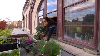 Urban Gardening Urban Gardening
