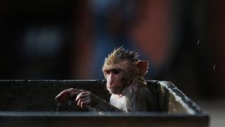 Coming of Age Coming of Age