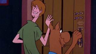 Make a Beeline Away from That Feline or Who Was That Cat Creature I Saw You with Last Night Make a Beeline Away from That Feline or Who Was That Cat Creature I Saw You with Last Night