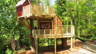 A Treehouse Promise