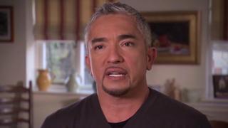 London Calling London Calling