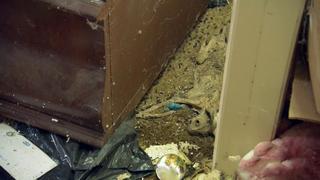 Just Tear It Down Just Tear It Down