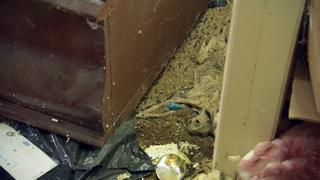 Hoarding: Buried Alive