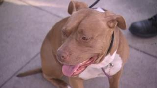 Anger Management Anger Management