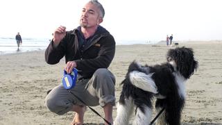 Fear Factor Fear Factor