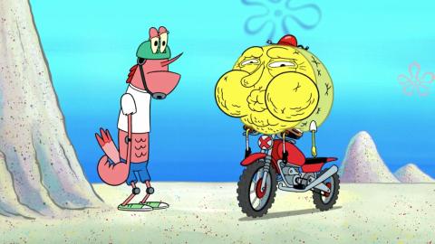 Extreme Spots; Squirrel Record