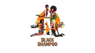 Black Shampoo