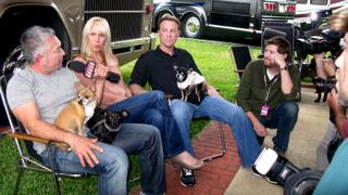 Daytona Dogs Daytona Dogs