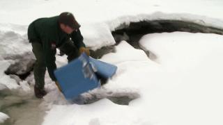 On Thin Ice On Thin Ice