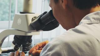 Anthony Shea and the No-Name Gang