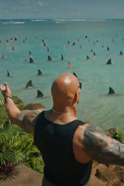 Shark Week