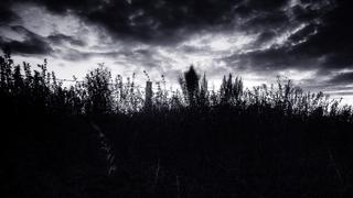 Monsters of the Night Monsters of the Night