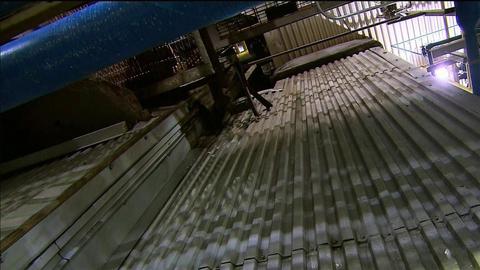 Tequila; Steam-Powered Megacity; Soft Ice Cream