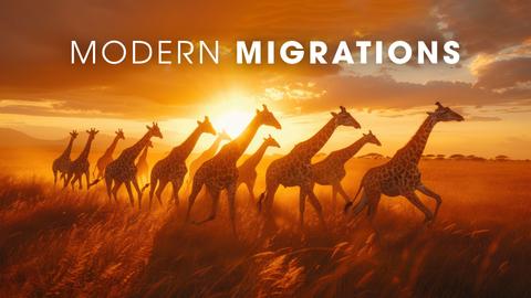 Modern Migrations