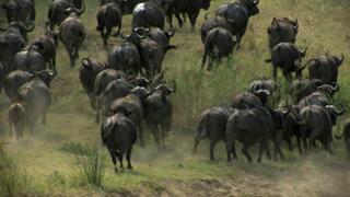 Modern Migrations