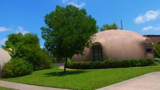 Bizarre Fish House