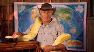 Snakes Alive Snakes Alive
