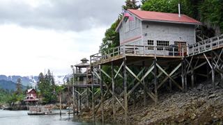 Seldovia Fishing Paradise Seldovia Fishing Paradise