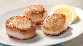 Pan Searing Pan Searing