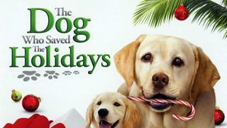 The Dog Who Saved the Holidays
